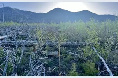 Tbd Ellenz Rd, La Veta, CO 81055 - Photo 1