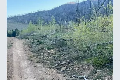 Tbd Ellenz Rd, La Veta, CO 81055 - Photo 4