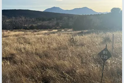 L23-26 B1 Black Diamond Dr, Walsenburg, CO 81089 - Photo 20