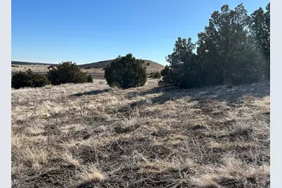 Lot 656 La Jara Way, Colorado City, CO 81019 - Photo 10