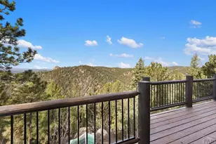 111 Blue Spruce Dr, Divide, CO 80814 - Photo 32