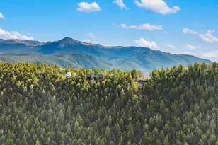 111 Blue Spruce Dr, Divide, CO 80814 - Photo 38