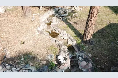 8335 Zorn Rd, Rye, CO 81069 - Photo 44