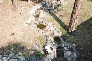 8335 Zorn Rd, Rye, CO 81069 - Photo 44