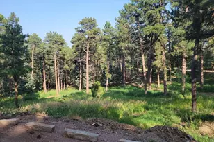 8335 Zorn Rd, Rye, CO 81069 - Photo 34