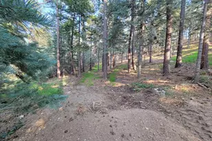 8335 Zorn Rd, Rye, CO 81069 - Photo 28