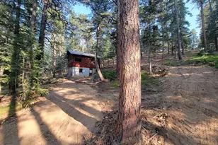 8335 Zorn Rd, Rye, CO 81069 - Photo 42