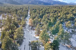 8127 Maple Dr, Rye, CO 81069 - Photo 48