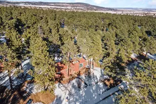 8127 Maple Dr, Rye, CO 81069 - Photo 46