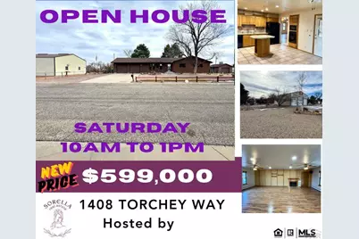 1408 Torchey Way, Pueblo, CO 81006 - Photo 30
