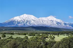 517 Trailsend Rd, Walsenburg, CO 81089 - Photo 4