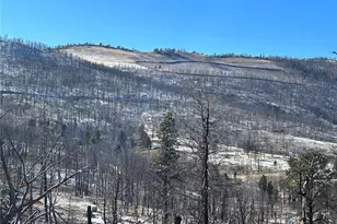 Lot 1039 Forbes Park, Fort Garland, CO 81133 - Photo 1