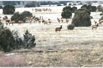 33822 Fisher Peak Pkwy, Trinidad, CO 81082 - Photo 32