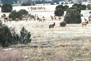 33822 Fisher Peak Pkwy, Trinidad, CO 81082 - Photo 32