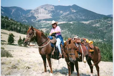 33822 Fisher Peak Pkwy, Trinidad, CO 81082 - Photo 30