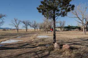 3538 Co Rd 110, Rye, CO 81069 - Photo 1