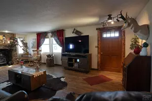 3538 Co Rd 110, Rye, CO 81069 - Photo 8
