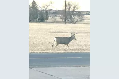 4746 Cuerno Verde Blvd, Colorado City, CO 81019 - Photo 48