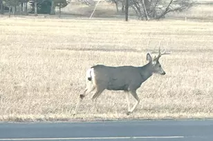 4746 Cuerno Verde Blvd, Colorado City, CO 81019 - Photo 48