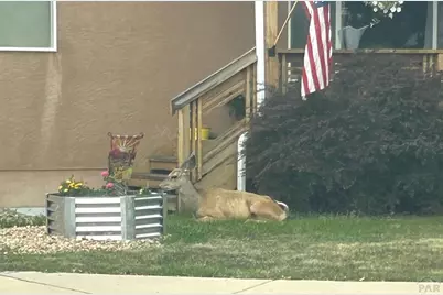 4746 Cuerno Verde Blvd, Colorado City, CO 81019 - Photo 50