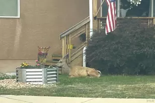 4746 Cuerno Verde Blvd, Colorado City, CO 81019 - Photo 50