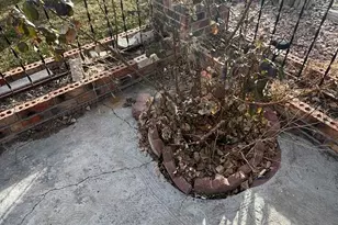 3 Senate Ct, Pueblo, CO 81005 - Photo 14