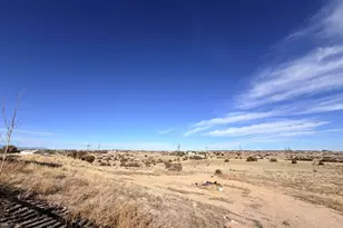 712 S Carrizo Springs Ave, Pueblo West, CO 81007 - Photo 42