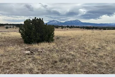 Lot 78 Navajo Ranch Resort, Walsenburg, CO 81089 - Photo 8