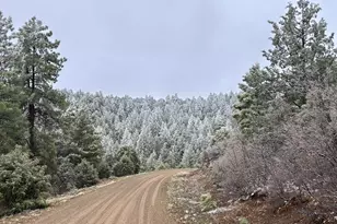 33280 Turkey Creek Ln, Trinidad, CO 81082 - Photo 8