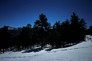 33280 Turkey Creek Ln, Trinidad, CO 81082 - Photo 58