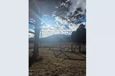 8152 Pine Dr, Rye, CO 81069 - Photo 4