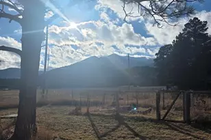 8152 Pine Dr, Rye, CO 81069 - Photo 4