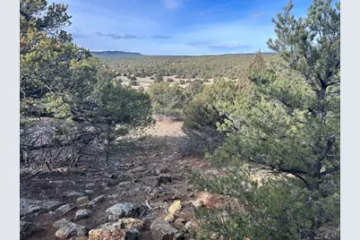 Lot 142A Silver Spurs Ranch, Walsenburg, CO 81089 - Photo 18