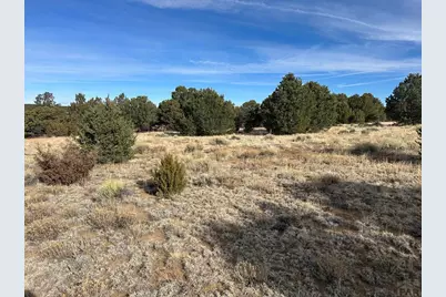 Lot 142A Silver Spurs Ranch, Walsenburg, CO 81089 - Photo 6