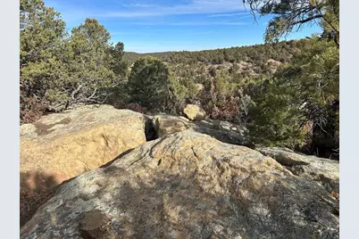 Lot 142A Silver Spurs Ranch, Walsenburg, CO 81089 - Photo 8