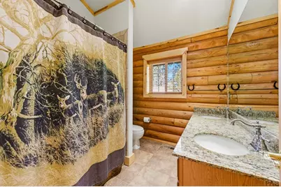 73 Big Horn Ln, Florissant, CO 80816 - Photo 60