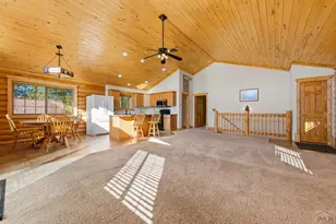 73 Bighorn Ln, Florissant, CO 80816 - Photo 46