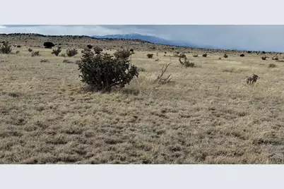 157&amp;191 Turkey Ridge Ranch, Walsenburg, CO 81089 - Photo 8