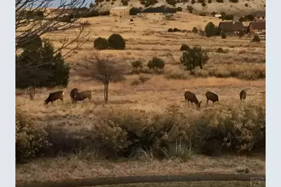 5749 St Charles River Dr, Pueblo, CO 81004 - Photo 74