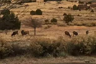 5749 St Charles River Dr, Pueblo, CO 81004 - Photo 74