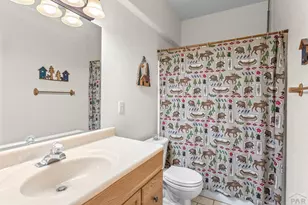 162 Ridge Top Dr, Divide, CO 80814 - Photo 28