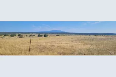 Lot 5 East Peak Ranches, La Veta, CO 81055 - Photo 6