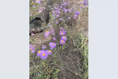 Lot 542 Forbes Pk, Fort Garland, CO 81133 - Photo 4