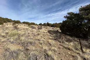 26 W 3rd St, Walsenburg, CO 81089 - Photo 38