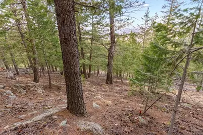 000 Upper Moss Rock Rd, Golden, CO 80401 - Photo 6