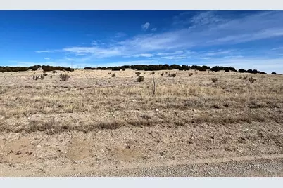 Lot 121 County Rd 113, Rye, CO 81069 - Photo 4