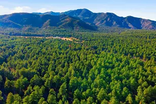 139 Hereford Dr, Rye, CO 81069 - Photo 92