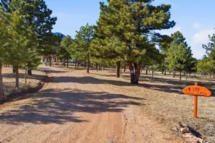 139 Hereford Dr, Rye, CO 81069 - Photo 62