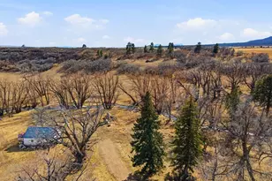 10113 Trout Farm Rd, Rye, CO 81069 - Photo 42