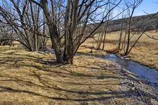 10113 Trout Farm Rd, Rye, CO 81069 - Photo 46